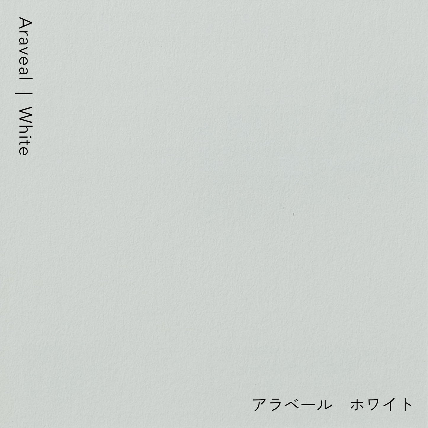 名刺＆ショップカード｜アラベール｜片面2色印刷